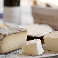 Nina loves eating Cheese